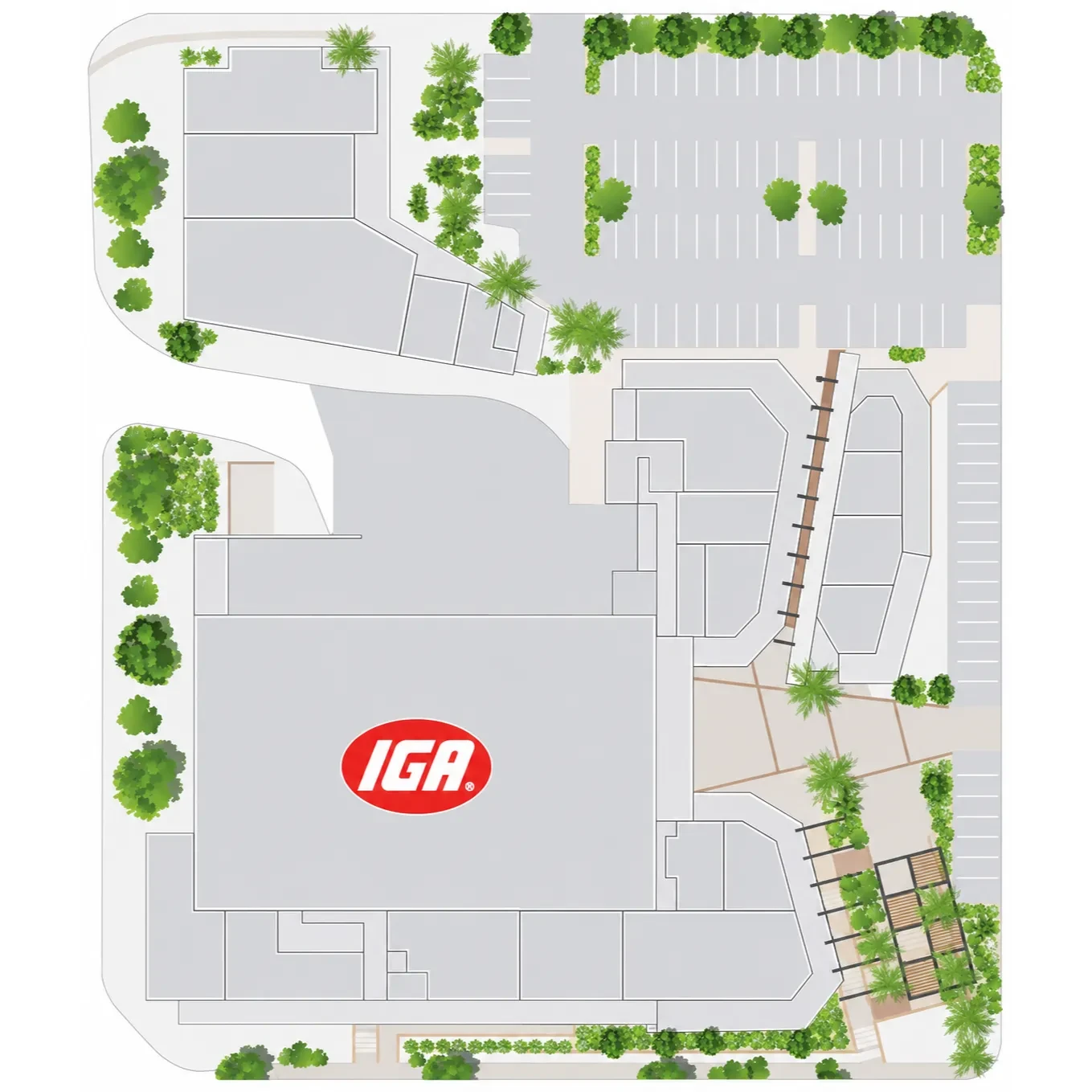 Activation map